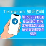 Telegram官网下载：频道内容发布定时，telegram software