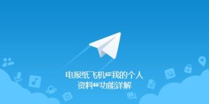 Telegram官网下载：保密聊天模式启用，telegram的secret chat